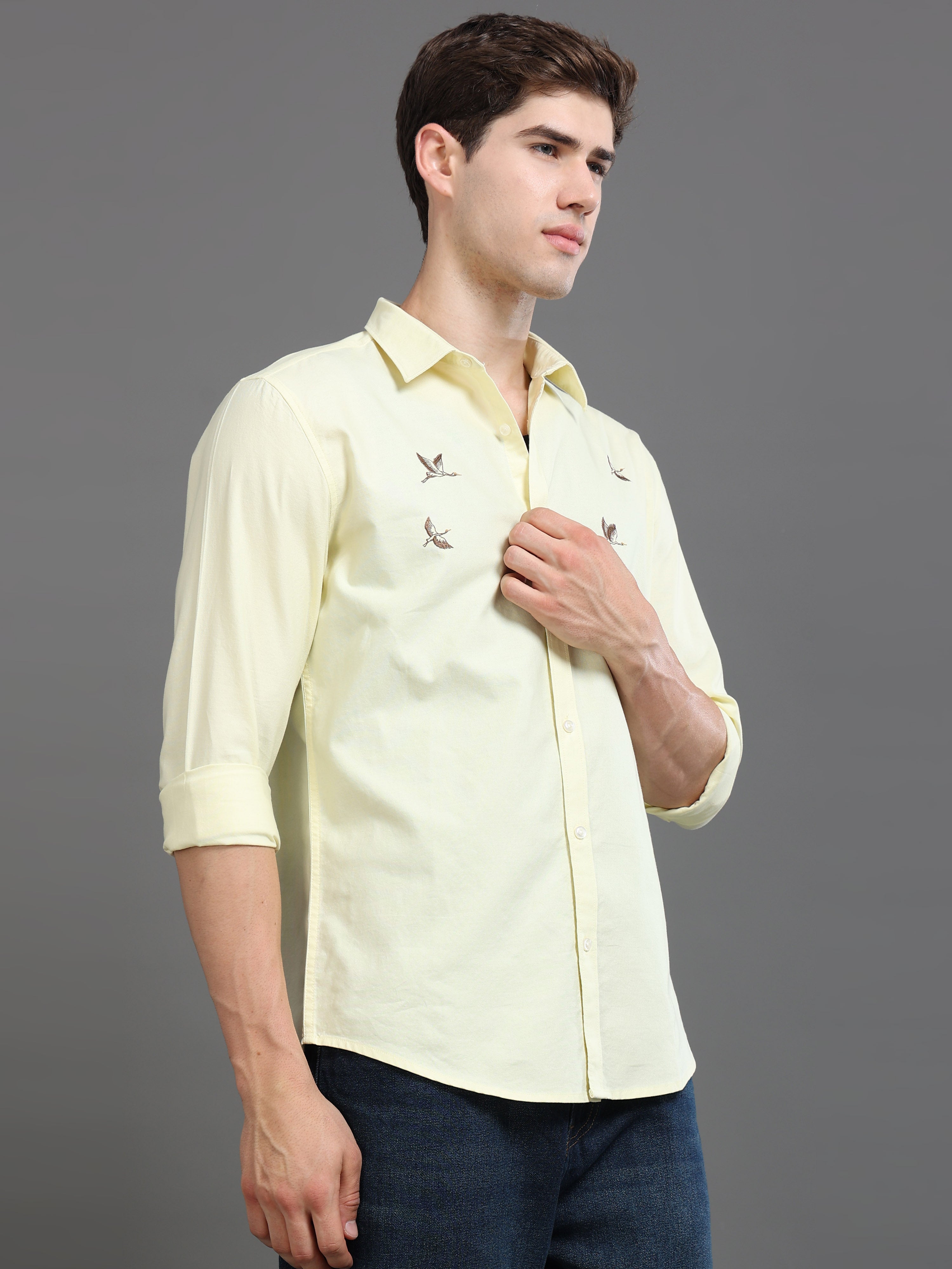 Men Oxford Embroidary Slim Fit Shirt